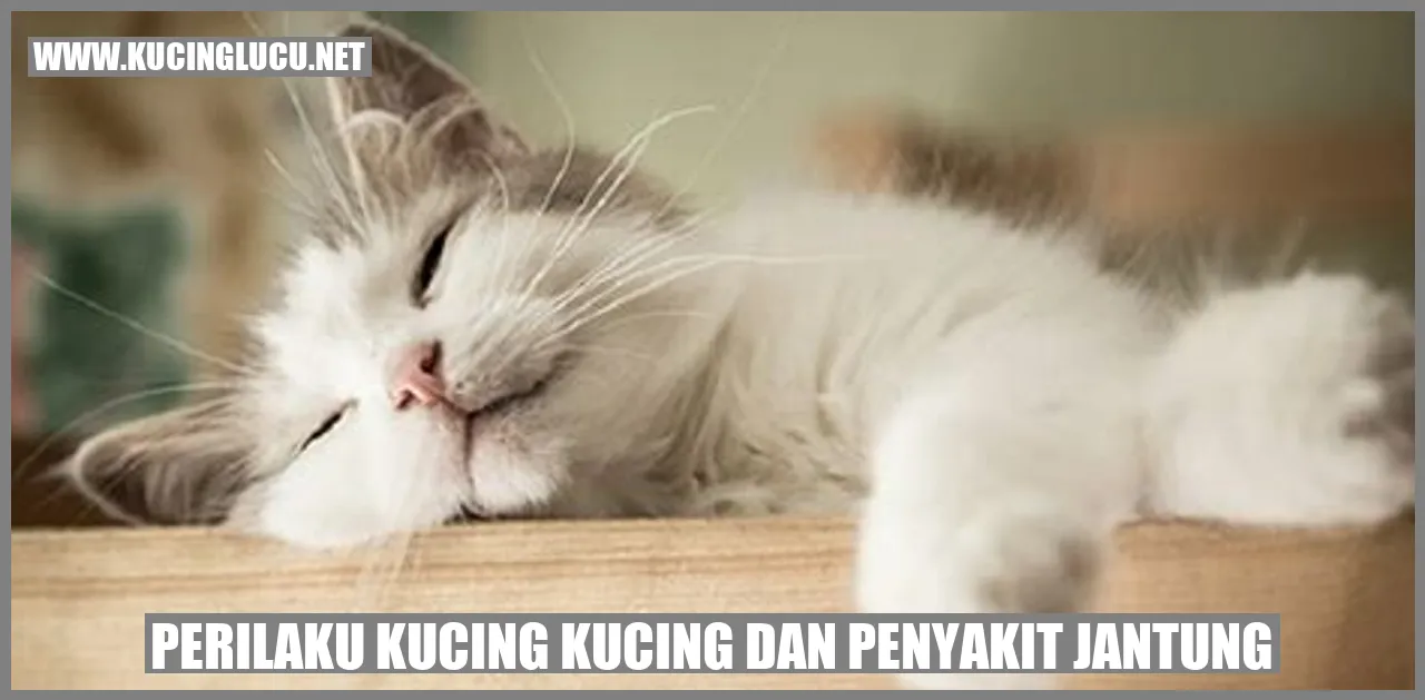 Perilaku Kucing Kucing dan Penyakit Jantung