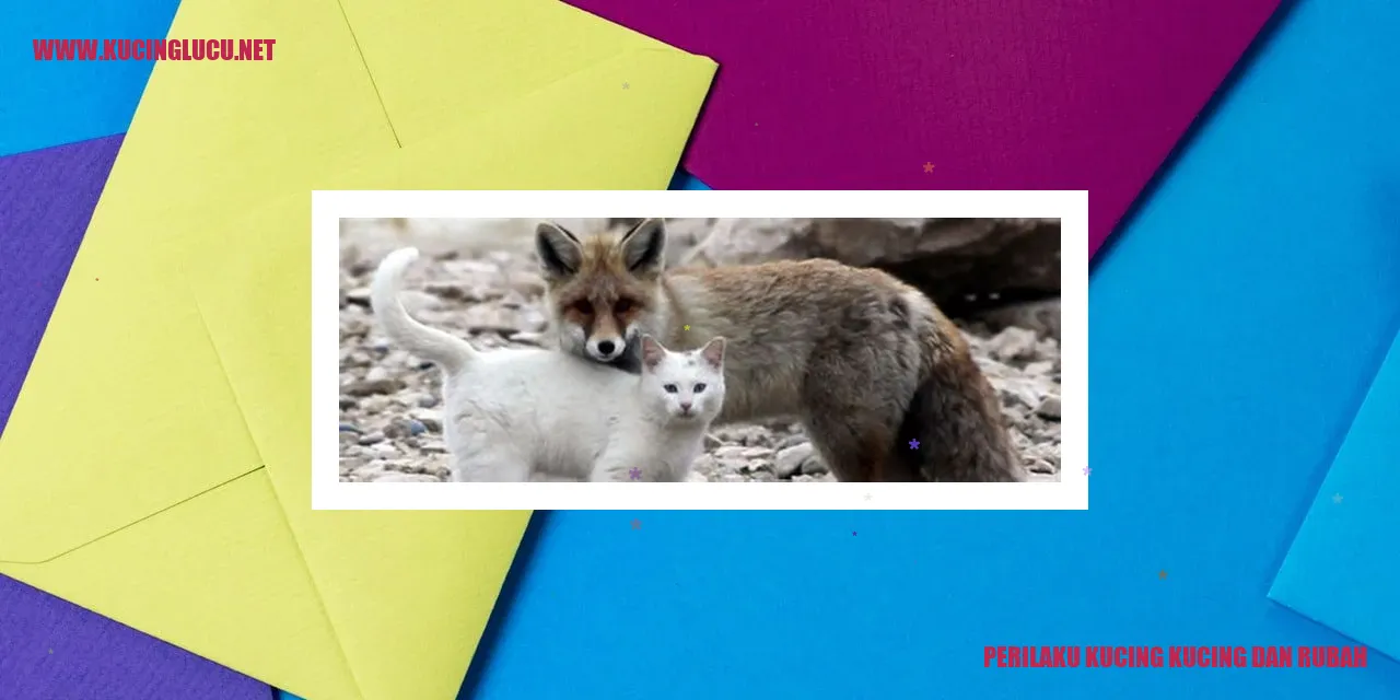 Gambar Kucing dan Rubah