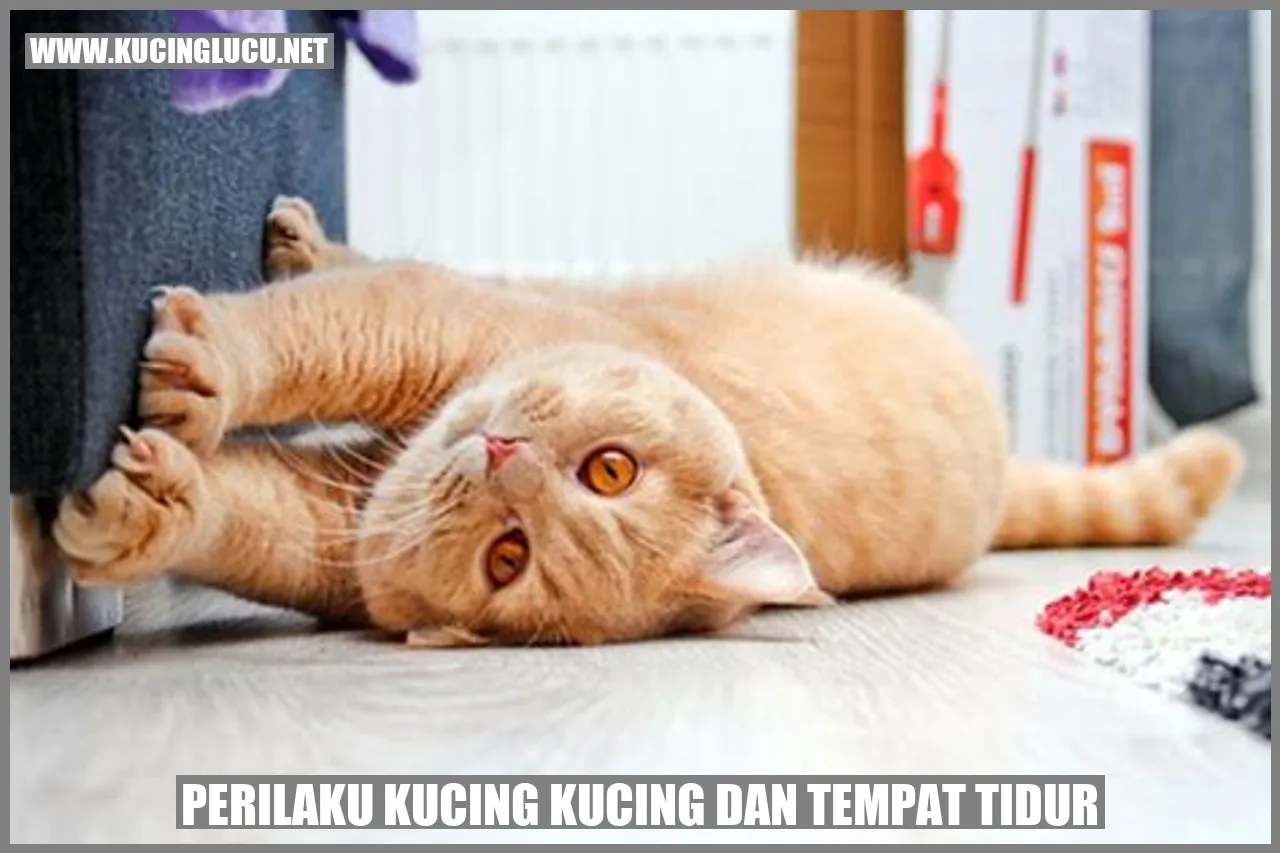 Kucing di tempat tidur