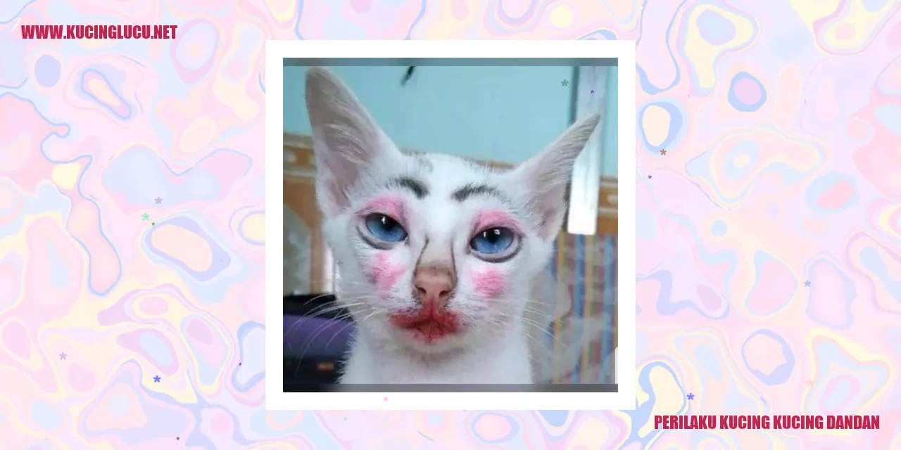 Perilaku Kucing Menggunakan Dandan