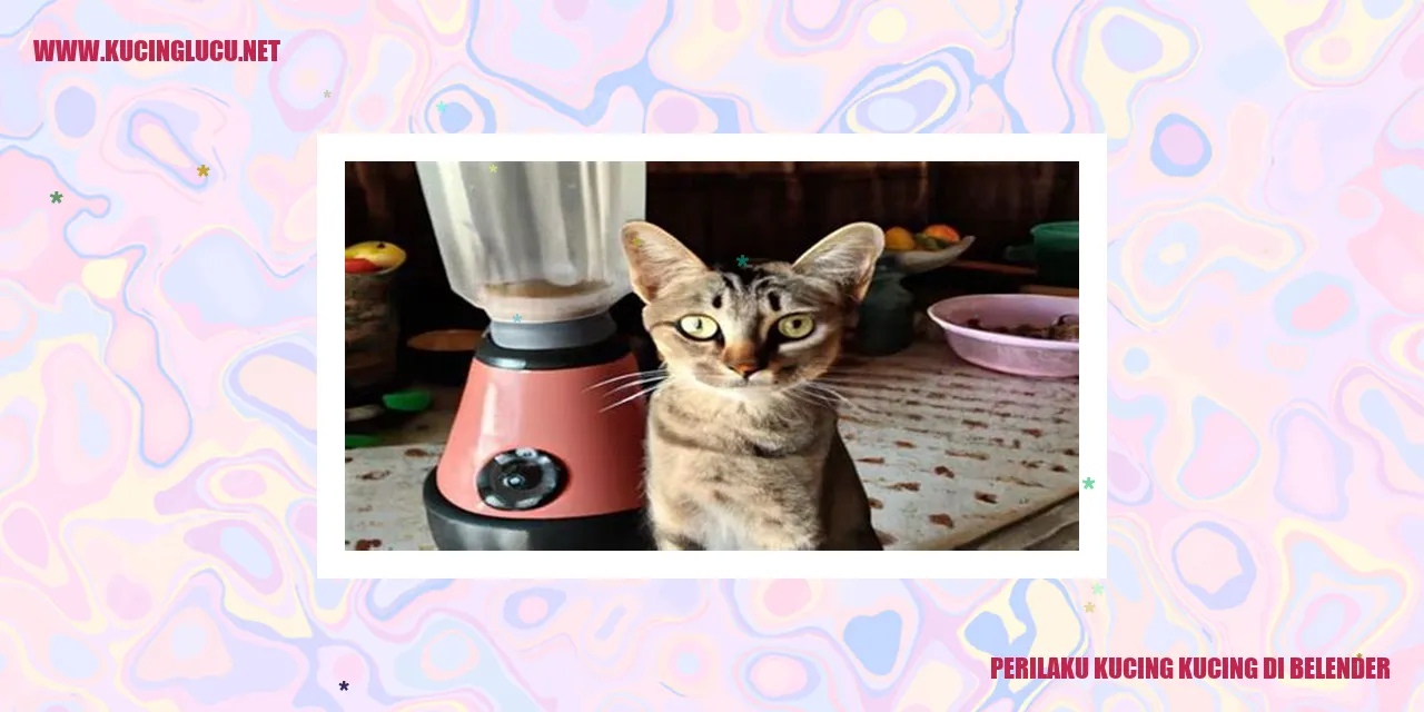 Gadis yang penasaran karena kucing di belender
