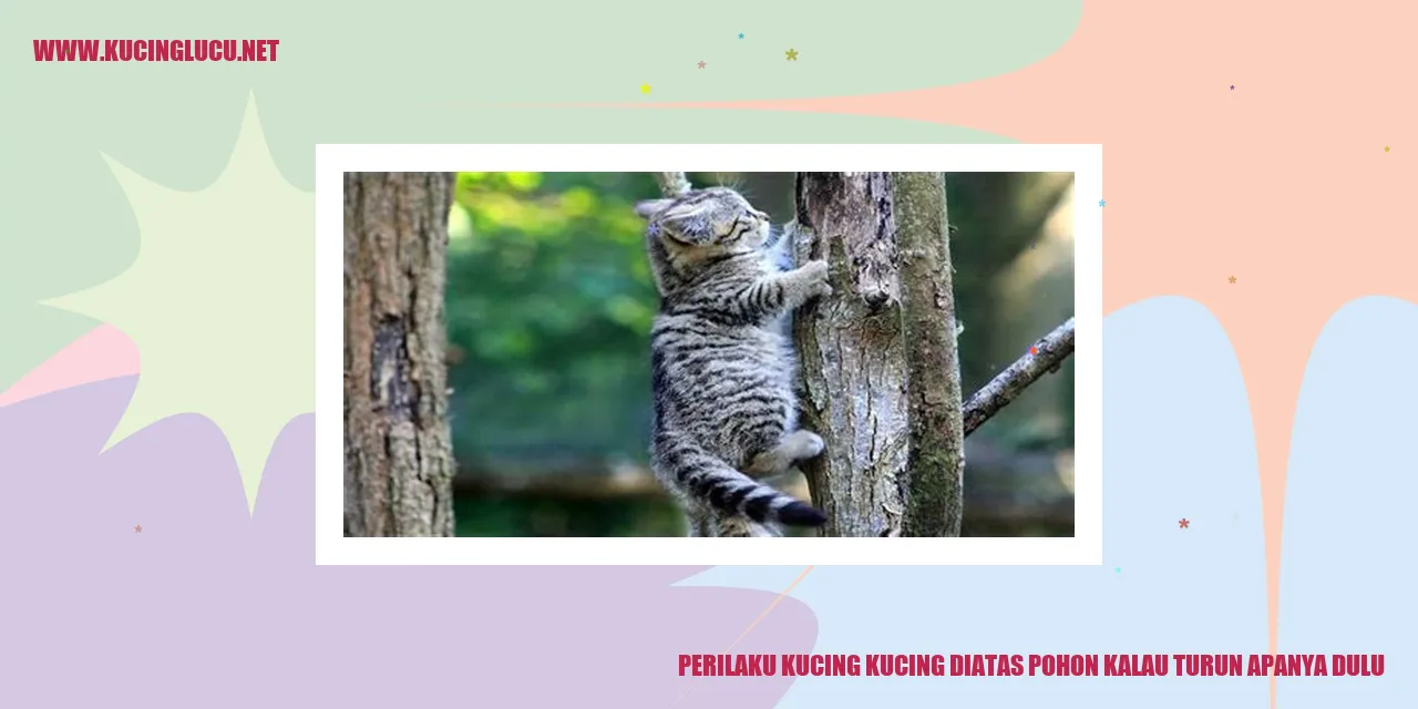 Kucing di atas pohon