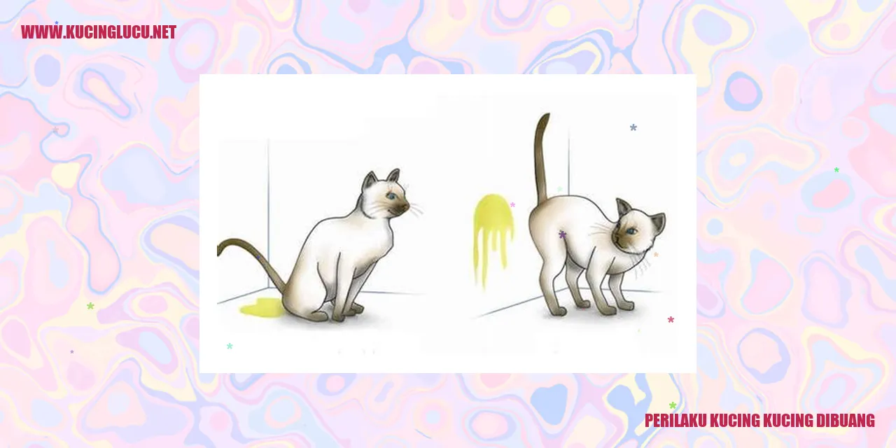 Kucing Dibuang