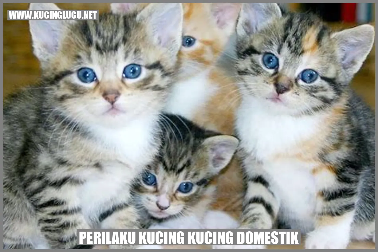 Kucing tertarik pada bunga yang indah