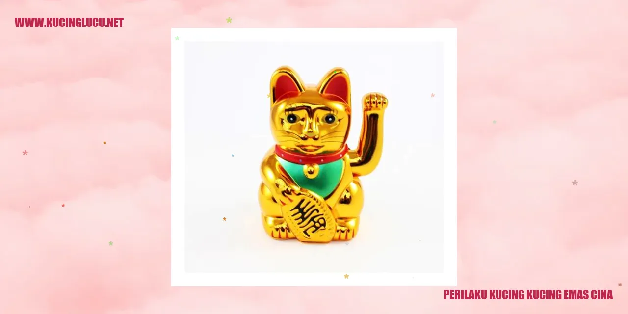 Kucing Emas Mandarin