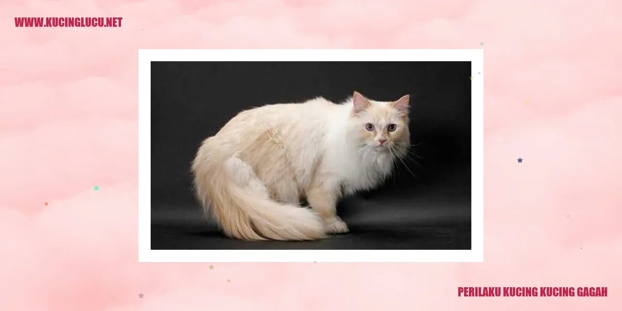 Kucing Tangguh
