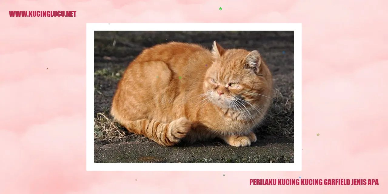 Kucing Garfield