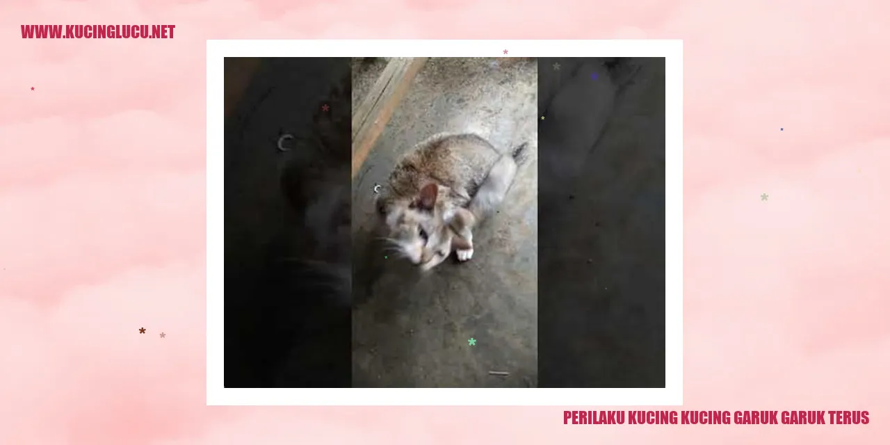 Perilaku Kucing Kucing Garuk Garuk Terus