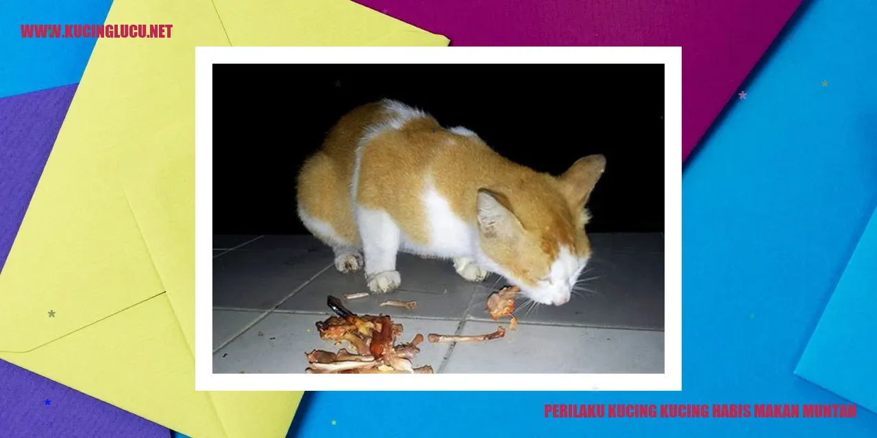 Gambar Kucing Muntah