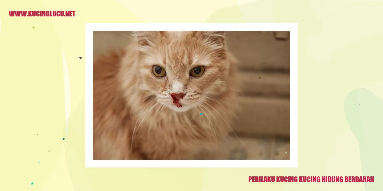 Kucing alami Hidung Berdarah