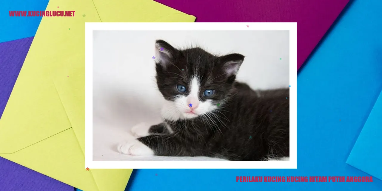 Kucing Janggut Putih dan Hitam
