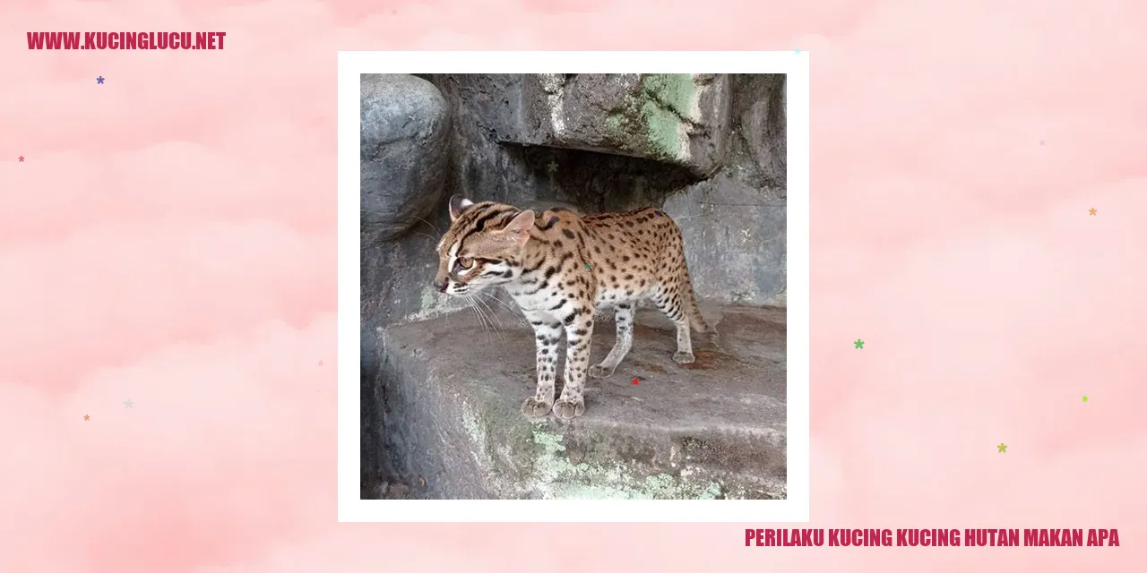 Perilaku Kucing Kucing Hutan Makan Apa