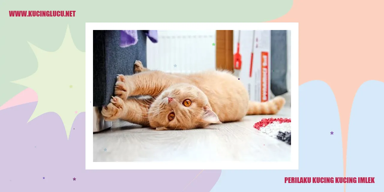 Kucing-kucing Imlek
