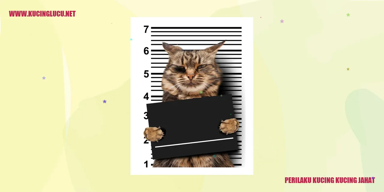Seekor kucing dengan wajah mencurigakan sedang memegang mainan