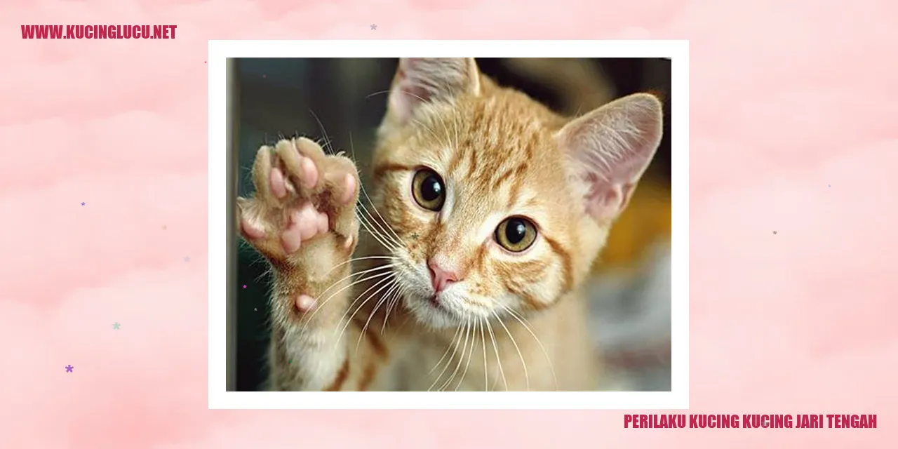 Perilaku Kucing Kucing Jari Tengah
