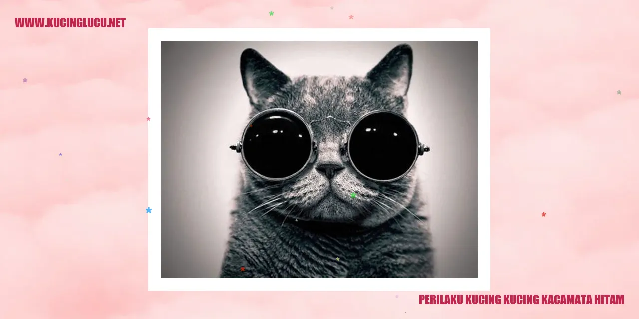 Perilaku Kucing Kucing Kacamata Hitam