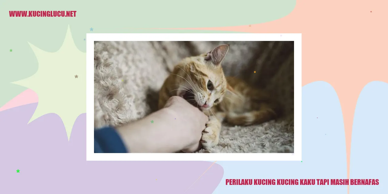 Perilaku kucing kaku tapi masih bernafas
