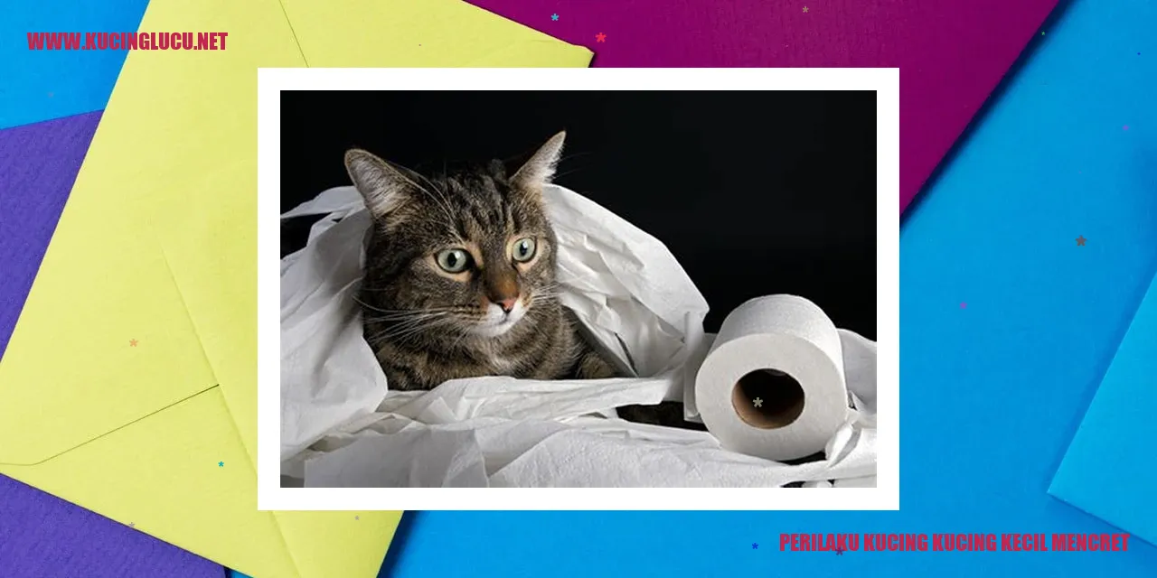 Perilaku Kucing Kecil Mencret