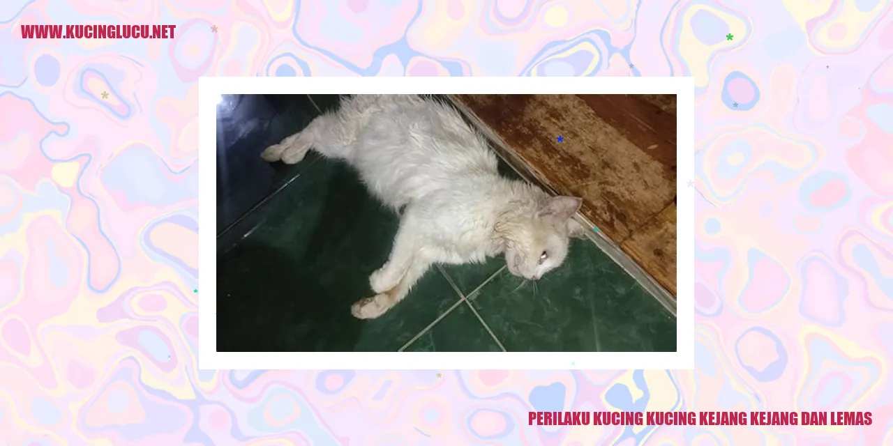 Kucing dalam kejang-kejang dan keadaan lemas