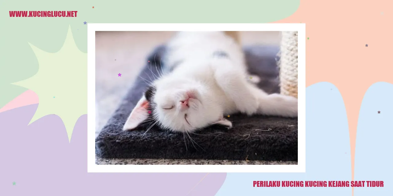 kucing kejang saat tidur
