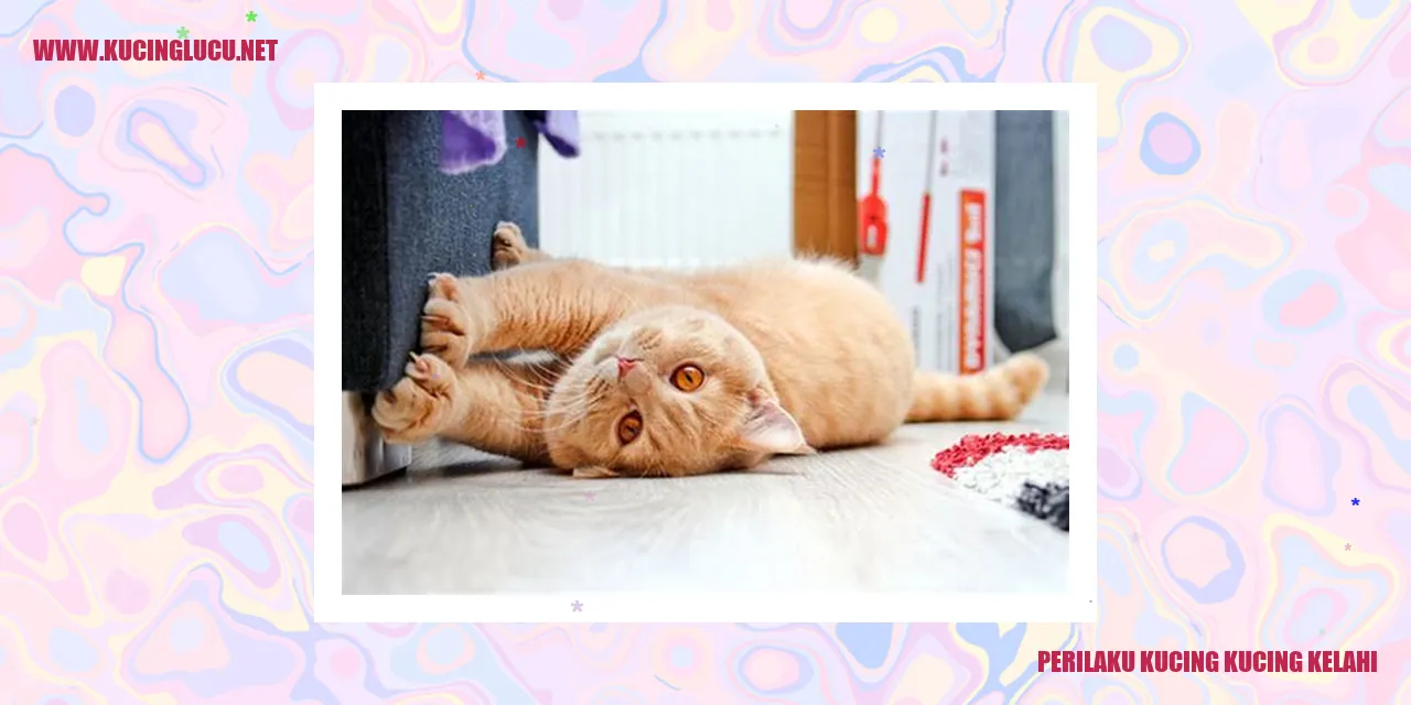 Perilaku Kucing Ketika Bertarung