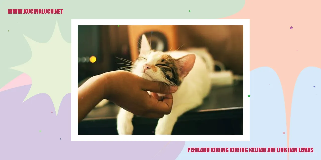 Perilaku Kucing Keluar Air Liur dan Lemas