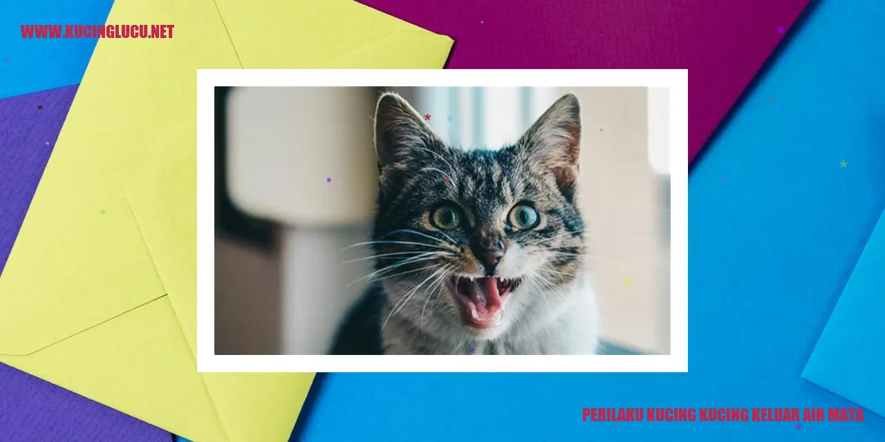 Perilaku Kucing Mengeluarkan Air Mata