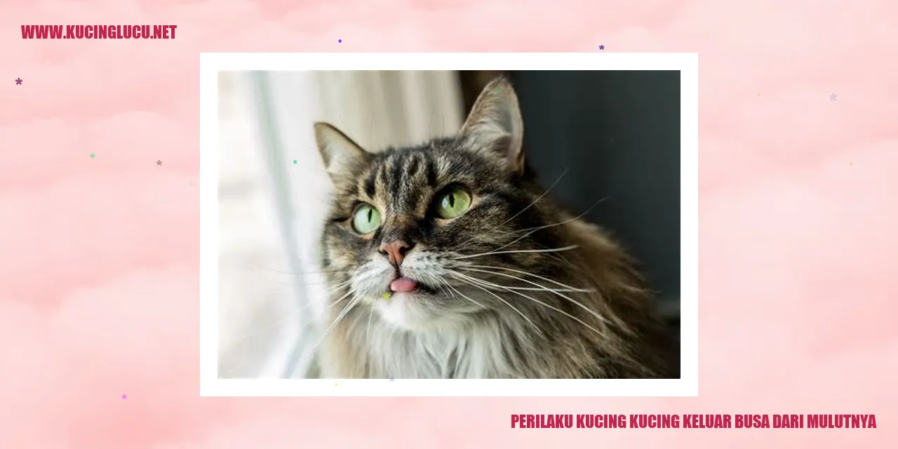 Kucing Mengeluarkan Busa
