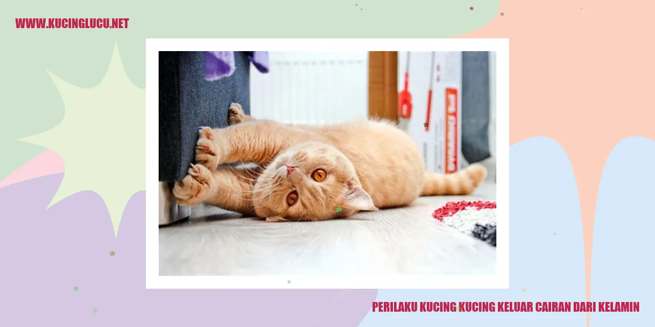Gambar kucing yang mengeluarkan cairan