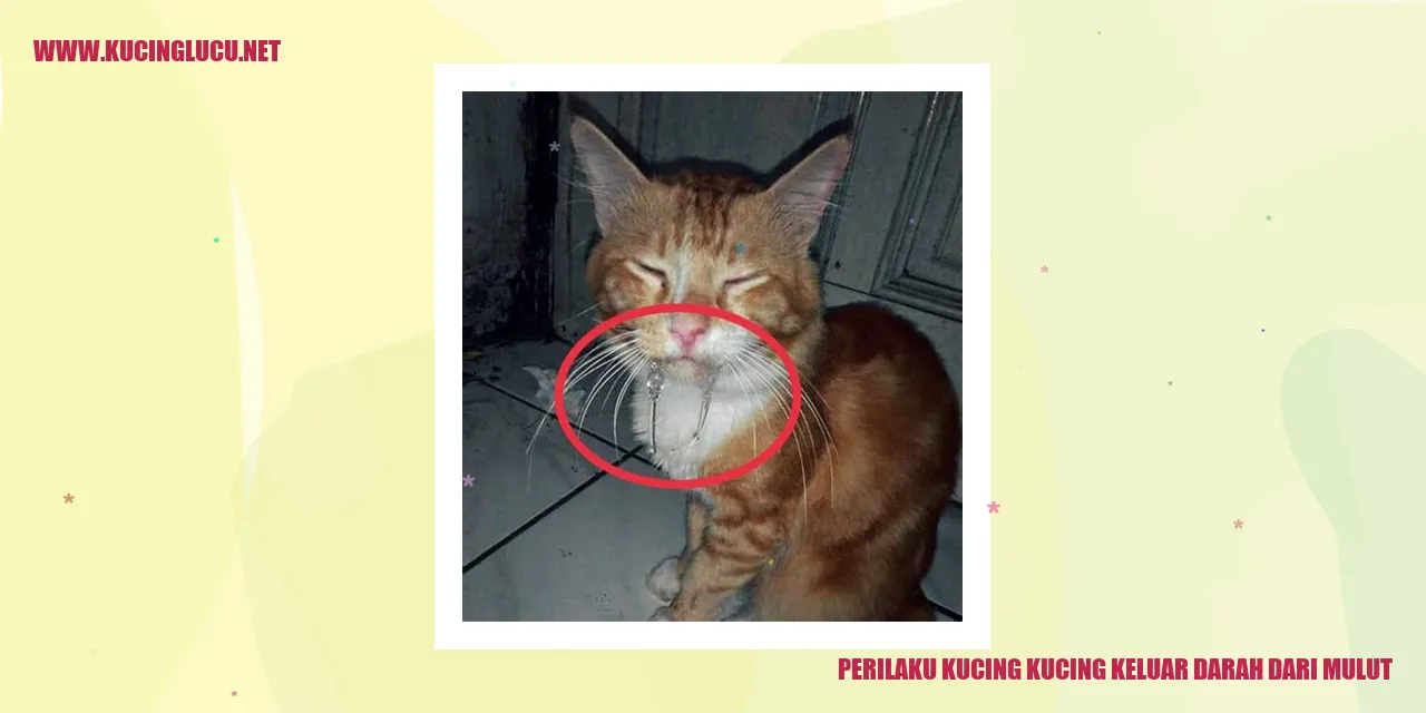 Kucing dengan Darah dari Mulut