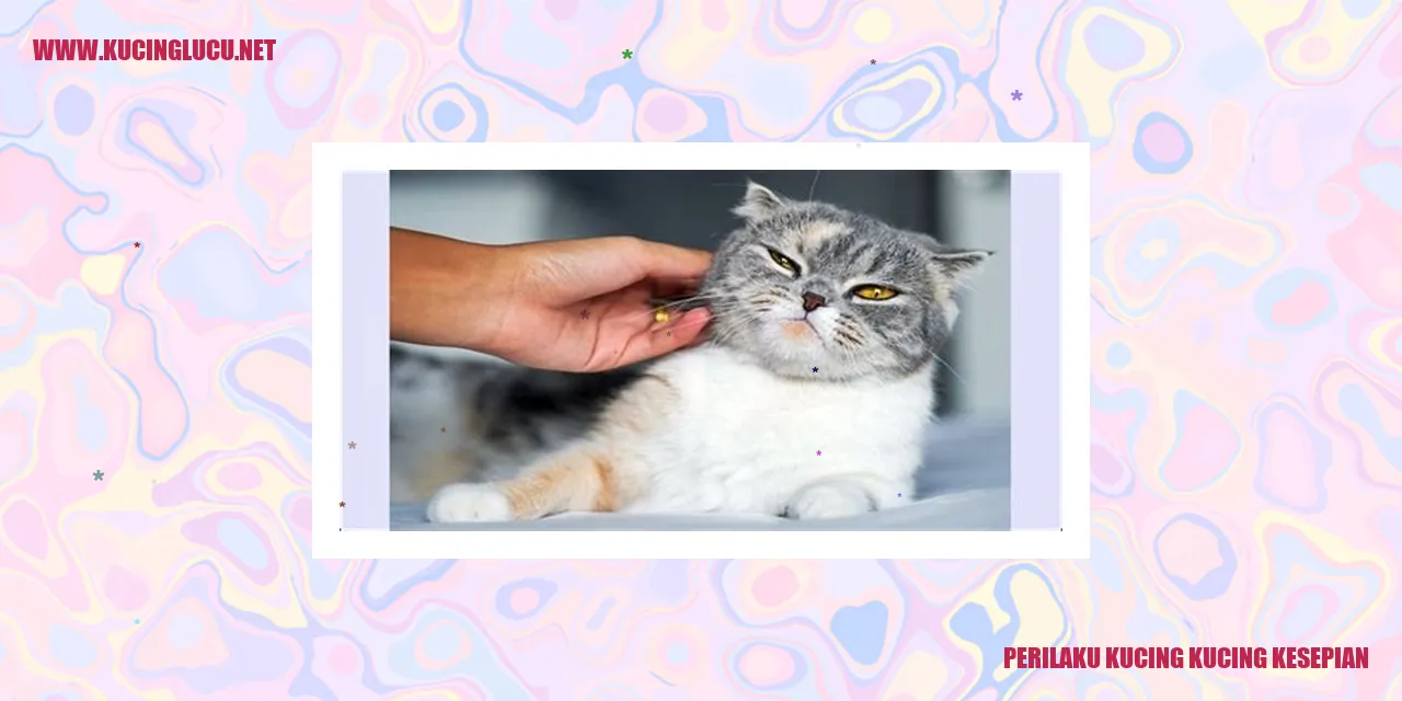 Perilaku Kucing Kesepian