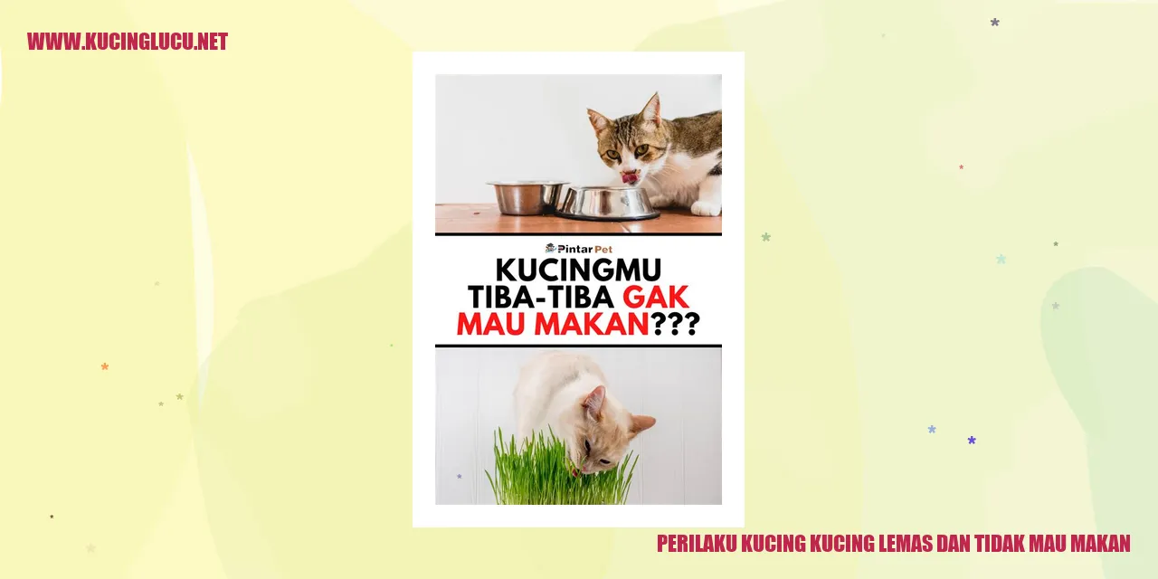 Perilaku Kucing kucing lemas dan tidak mau makan