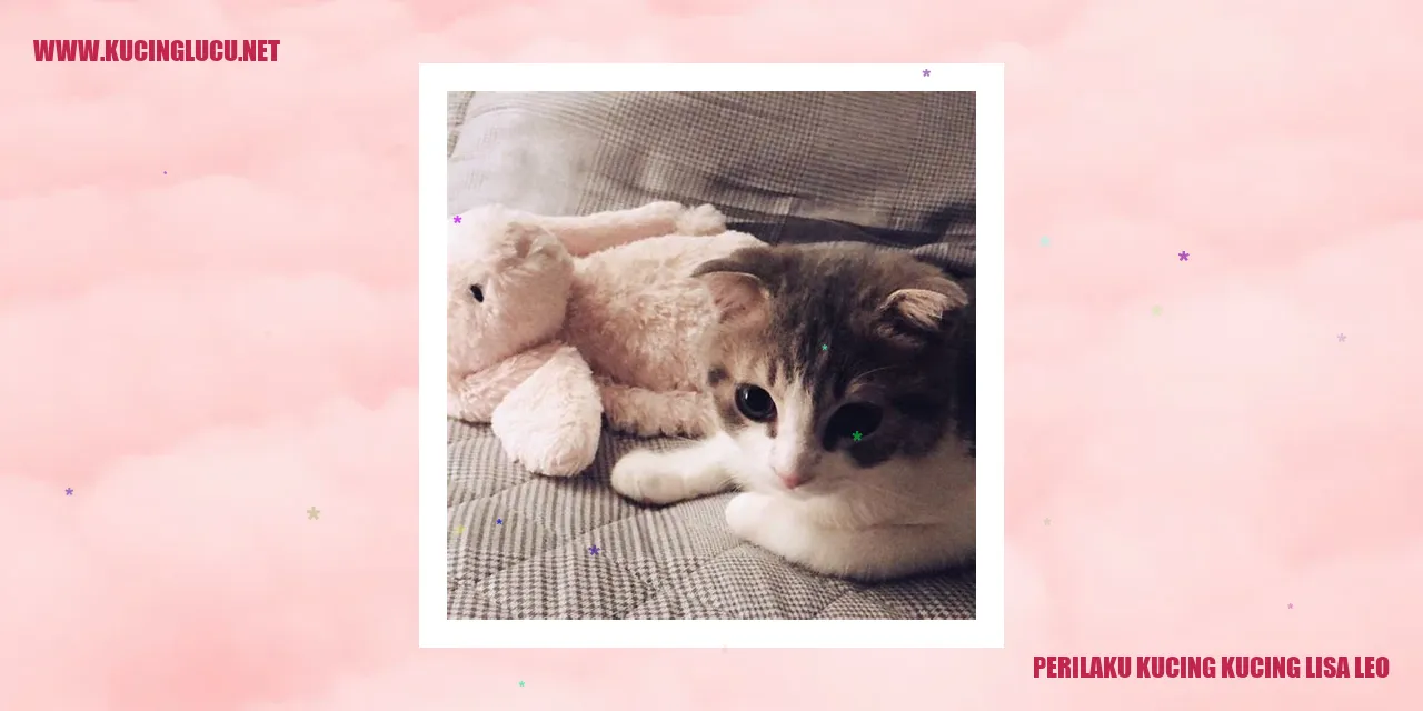 Gambar Kucing Lisa dan Leo