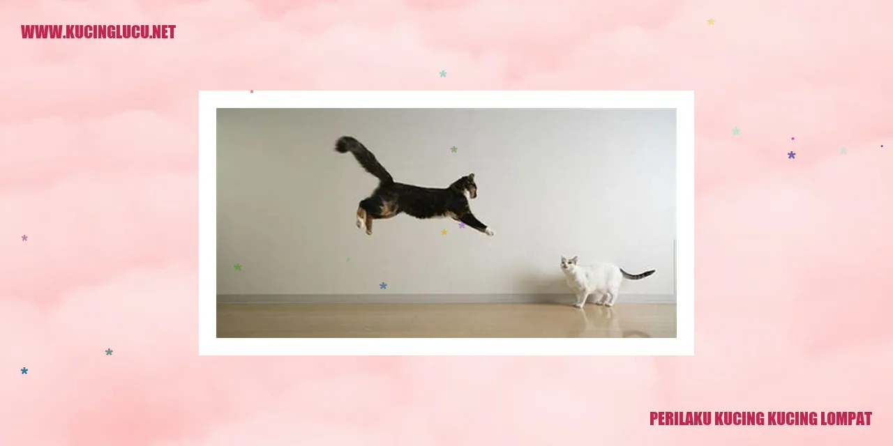 gambar kucing lompat