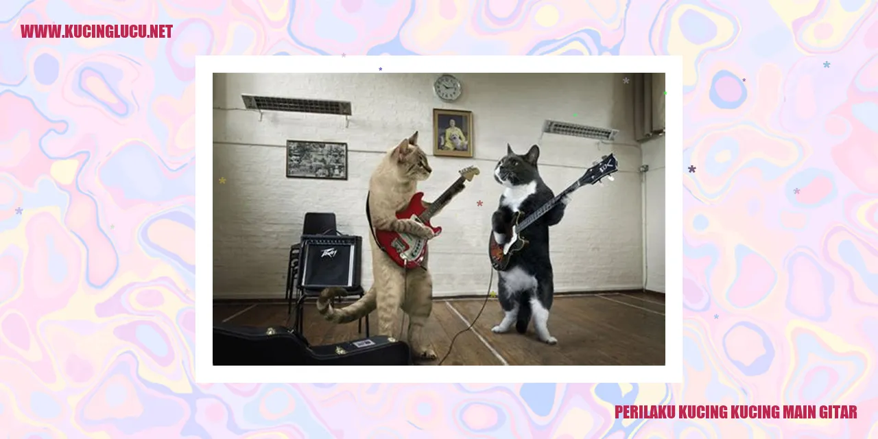 Keunikan Ketika Kucing Menghibur dengan Gitar
