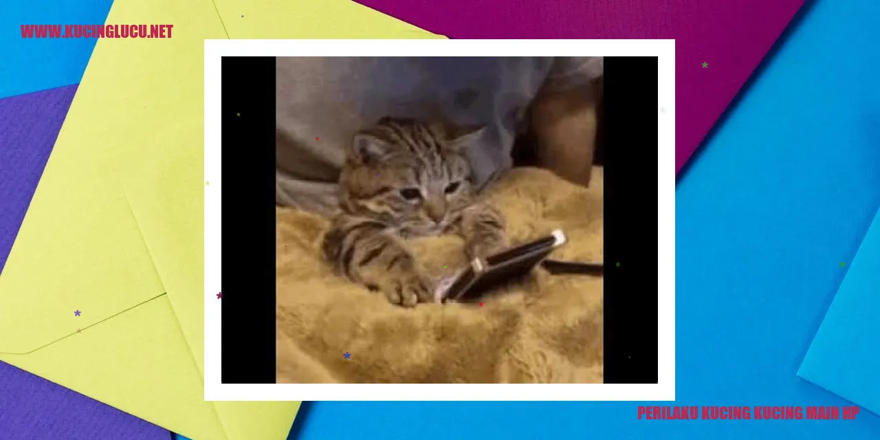 Gambar kucing bermain hp