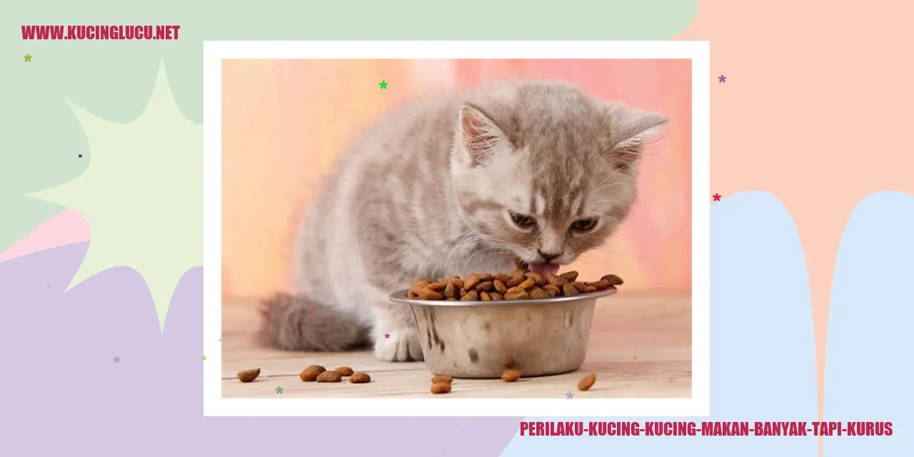 Kucing Makan Banyak tapi Kurus
