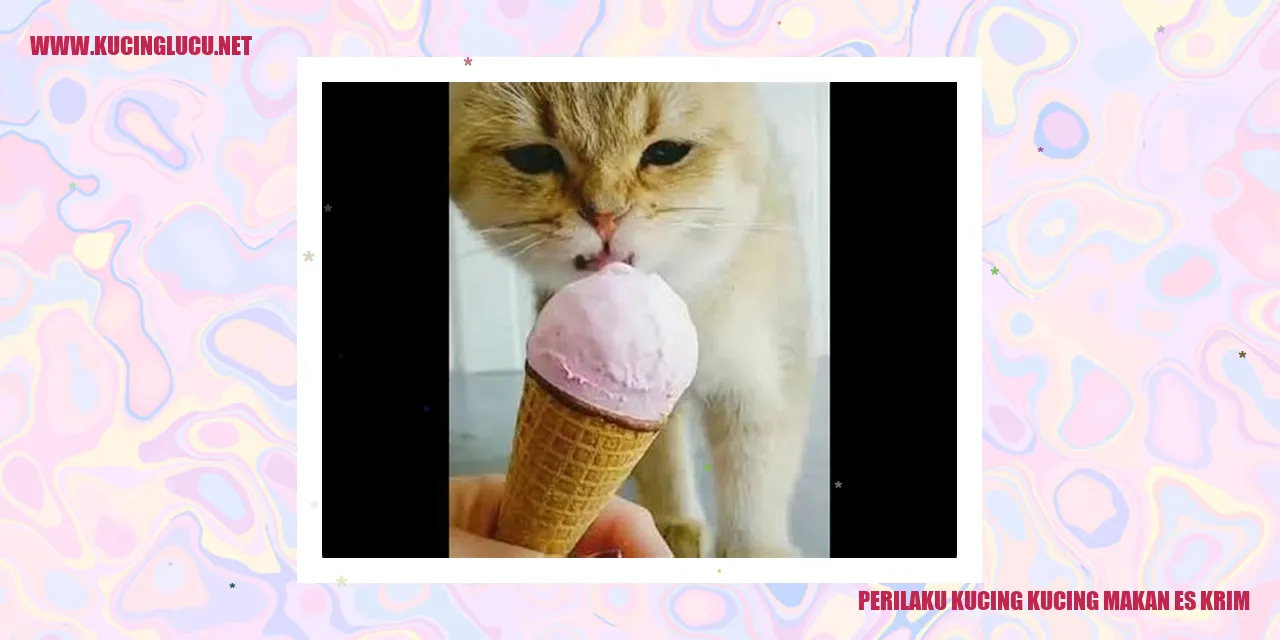 Kucing menikmati es krim