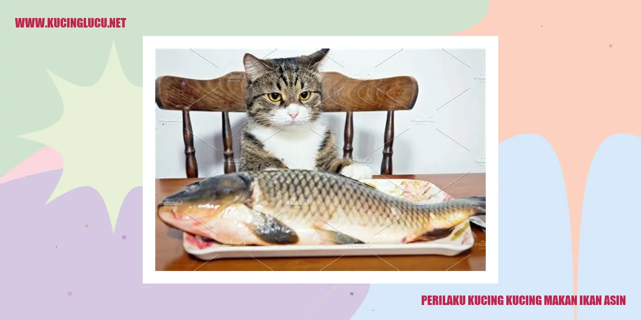 Perilaku Kucing Makan Ikan Asin
