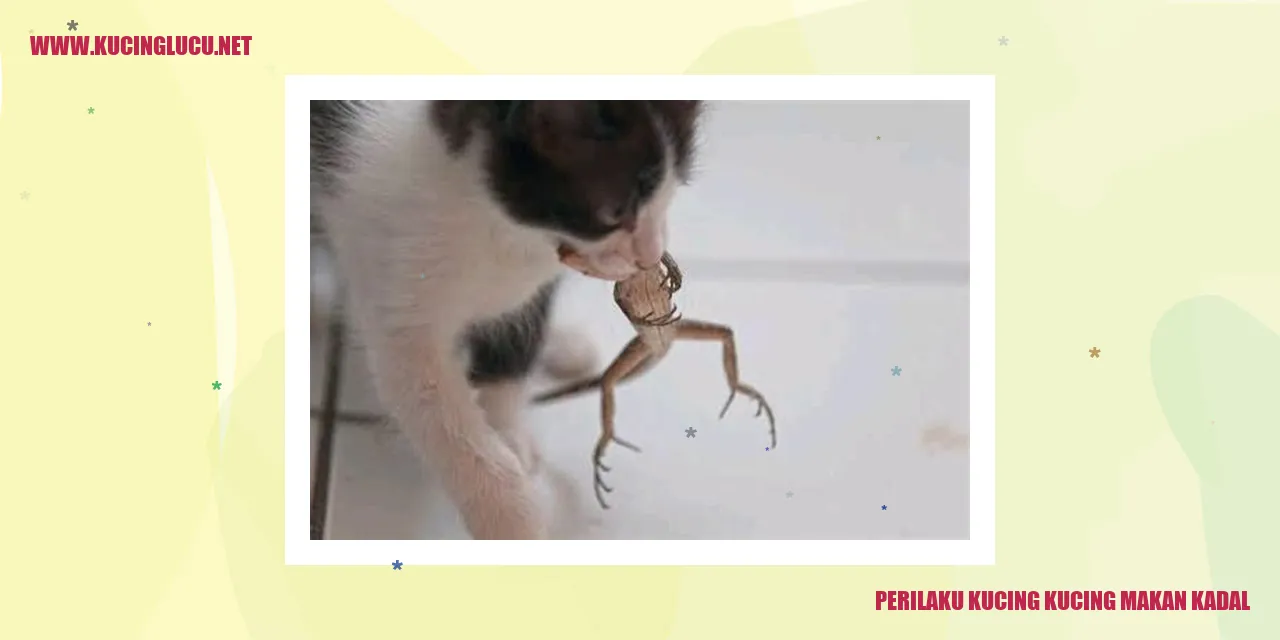 Gambar seekor kucing yang sedang menangkap dan memakan seekor kadal