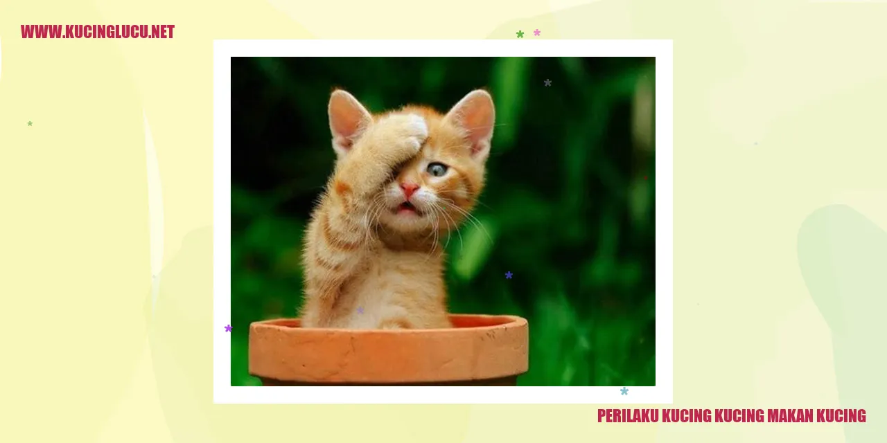Perilaku Kucing Makan Kucing
