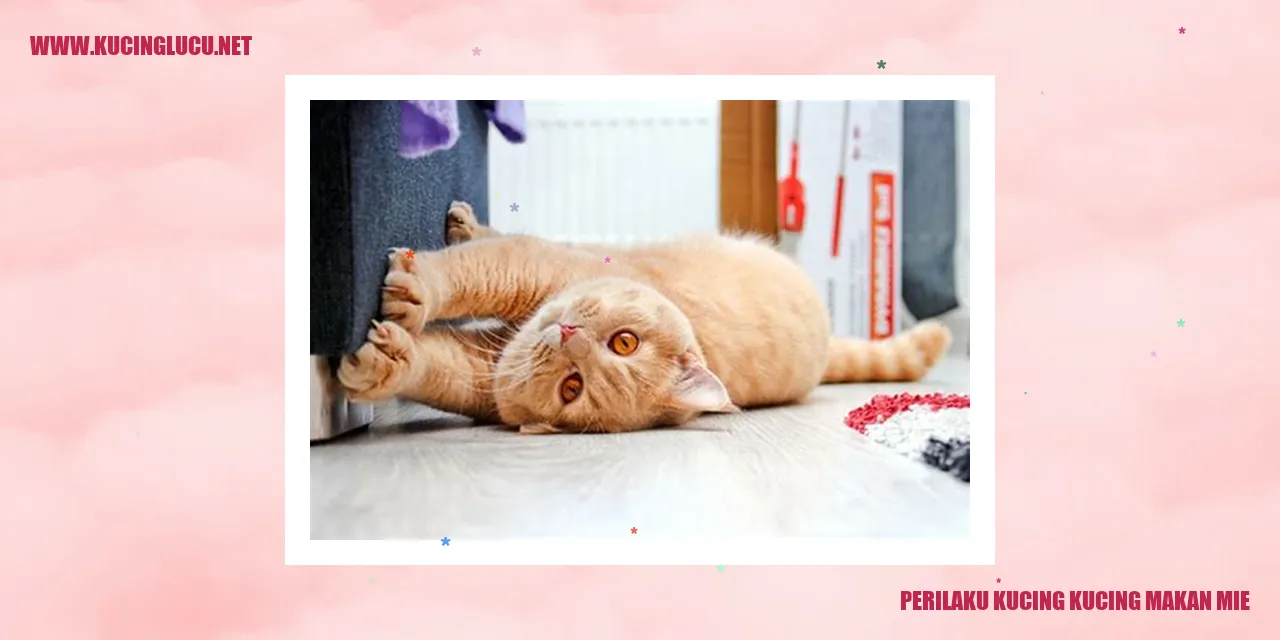 Kucing yang Sedang Makan Mie