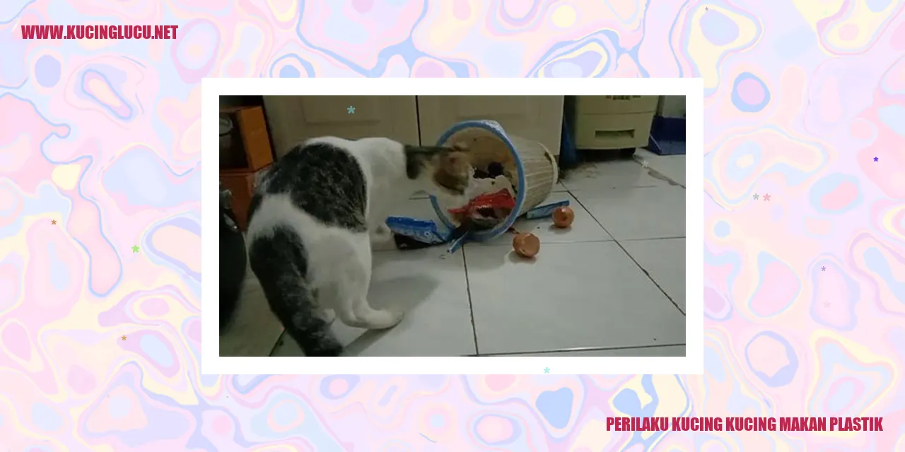 Perilaku Kucing yang Makan Plastik