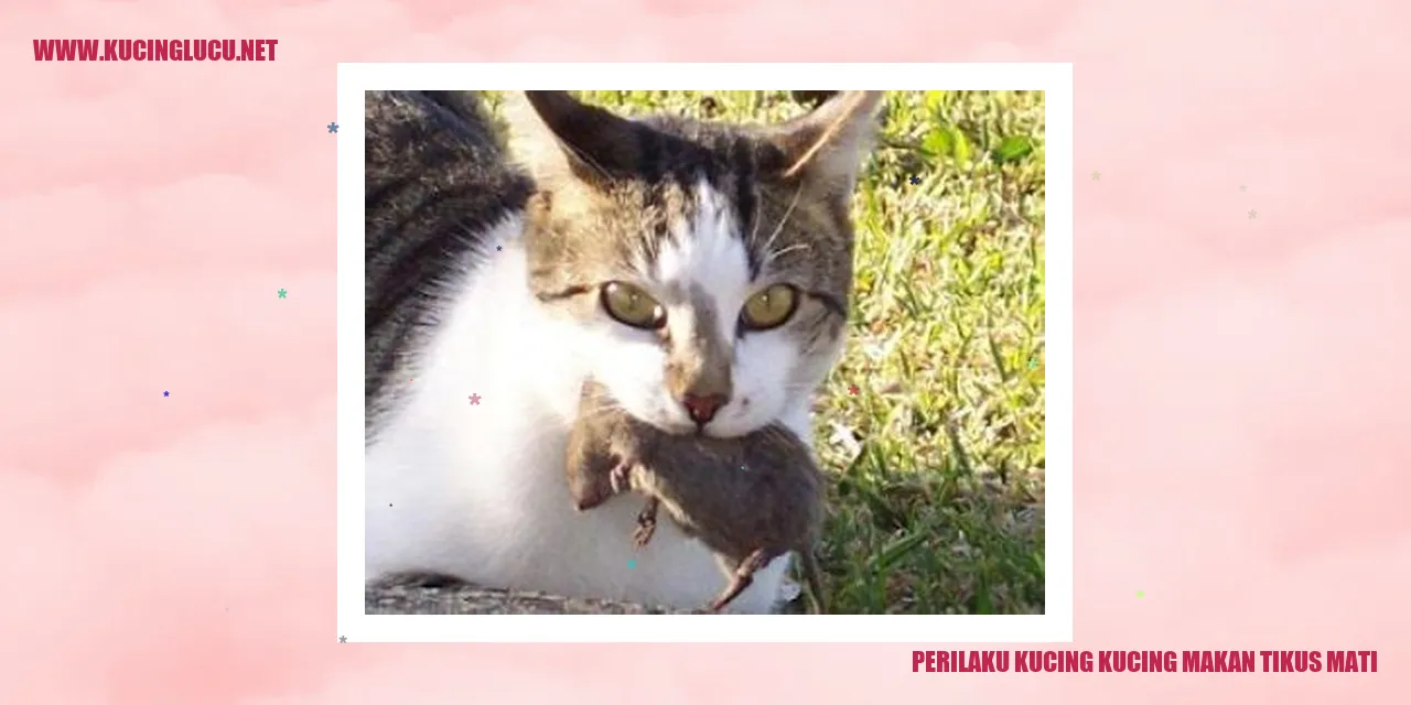 Ilustrasi kucing memakan tikus mati