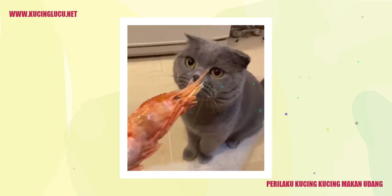 Gambar Kucing saat Menikmati Udang