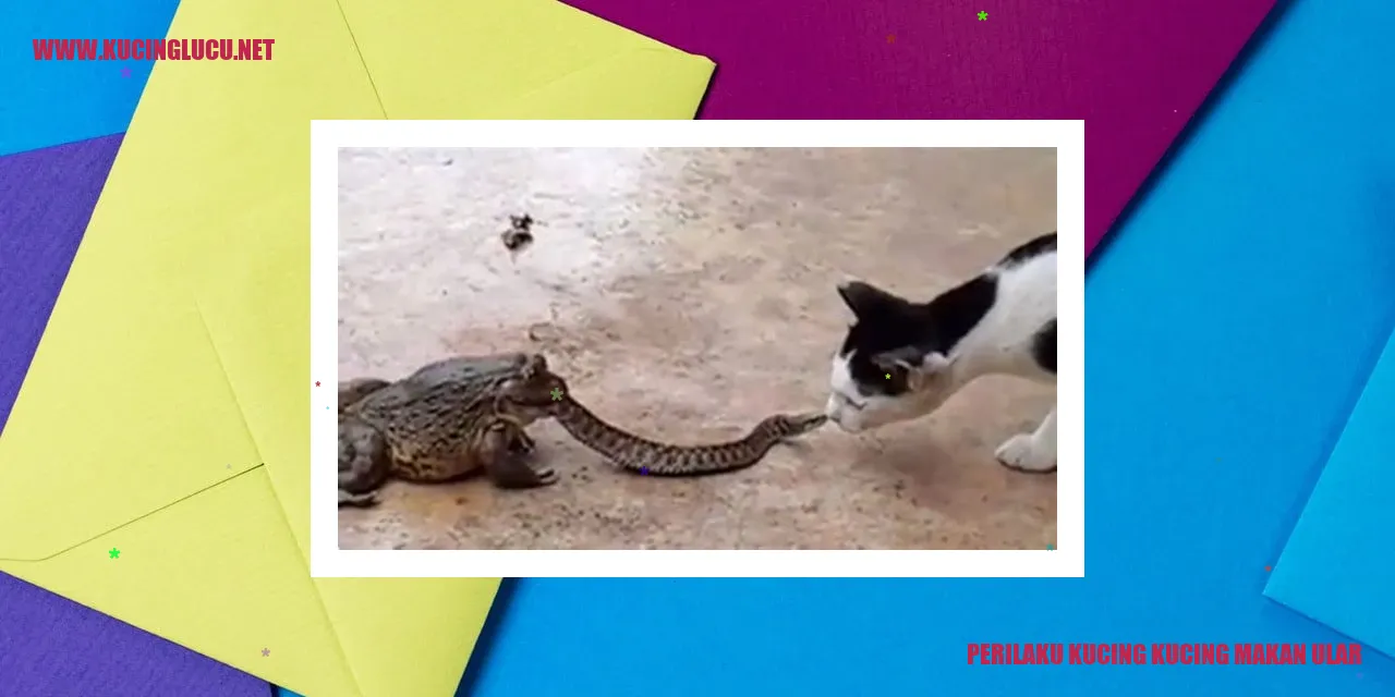 Kucing memakan ular