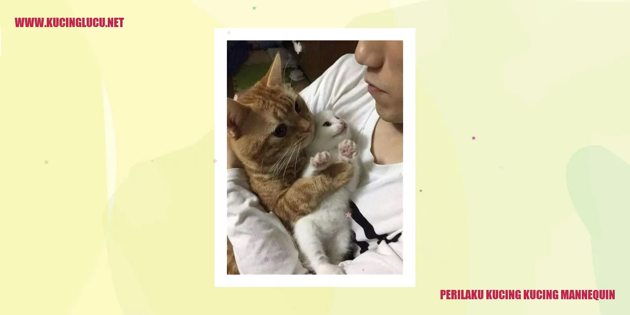 Kucing Mannequin yang Menawan