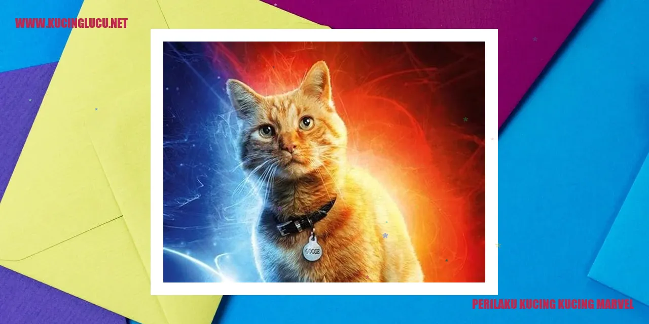 Kucing Marvel