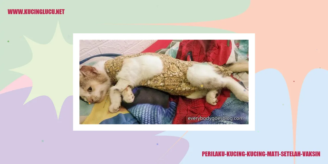 Perilaku Kucing Setelah Vaksin