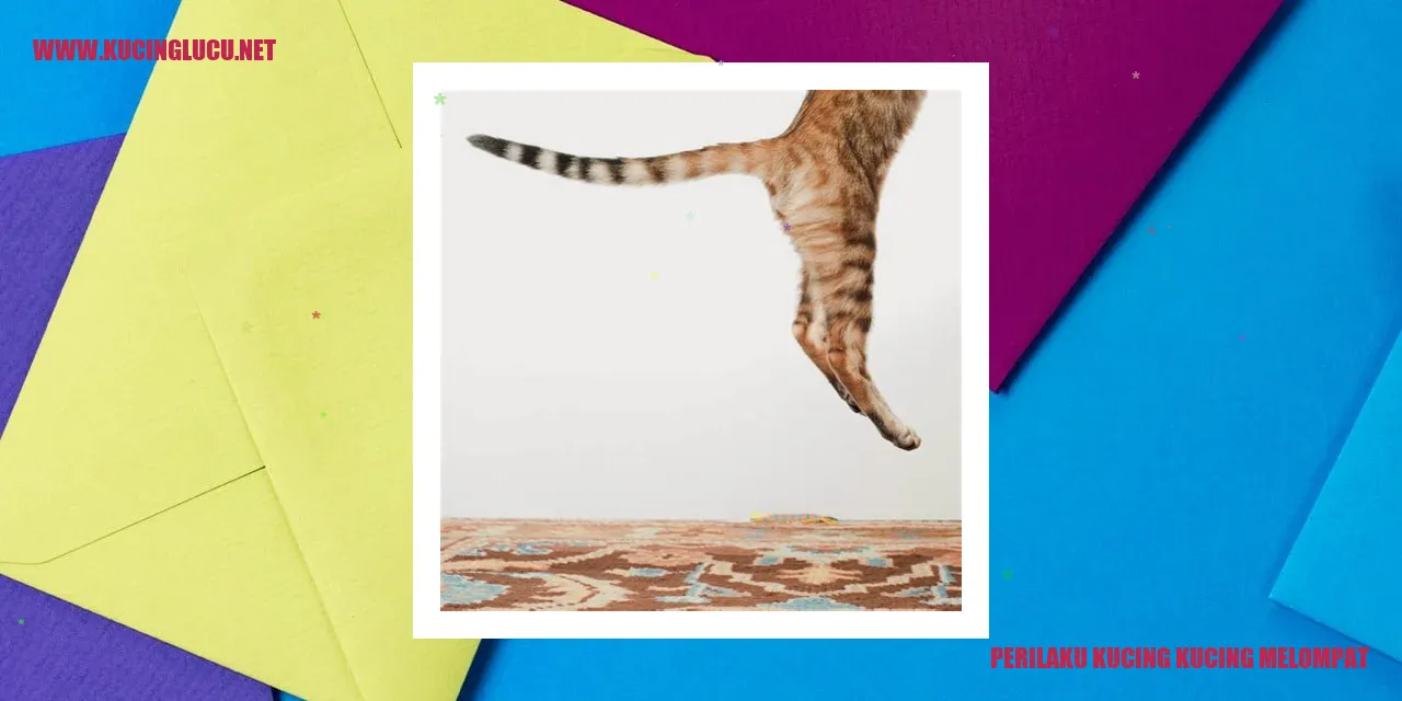 Kucing melompat